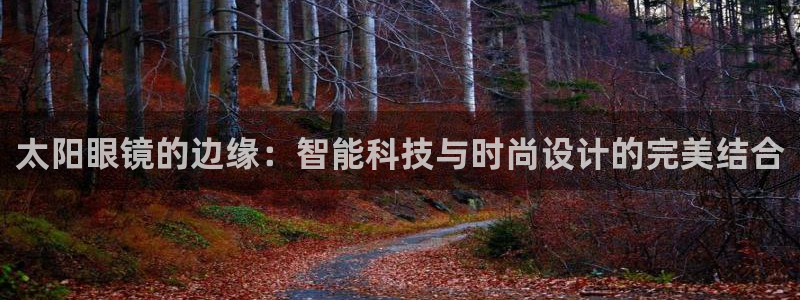 辉达娱乐丶75505