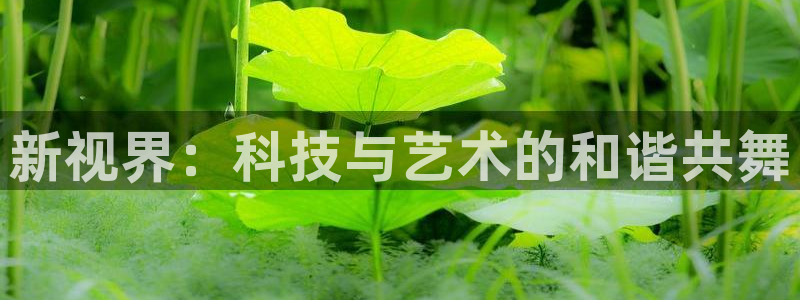 辉达娱乐丿39444