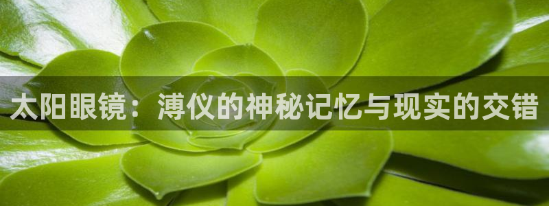 信誉辉达娱乐平台