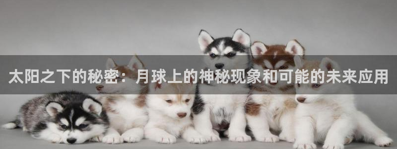 正规辉达娱乐在线游戏