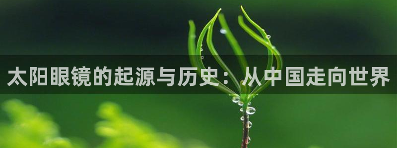 辉达娱乐官方网址