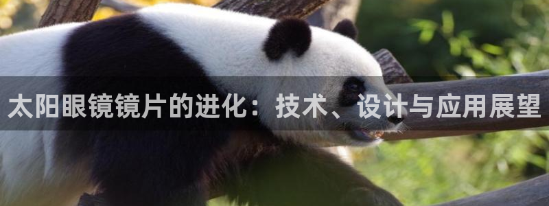 辉达娱乐体彩