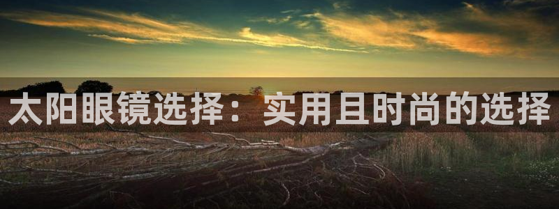 辉达平台官网网站