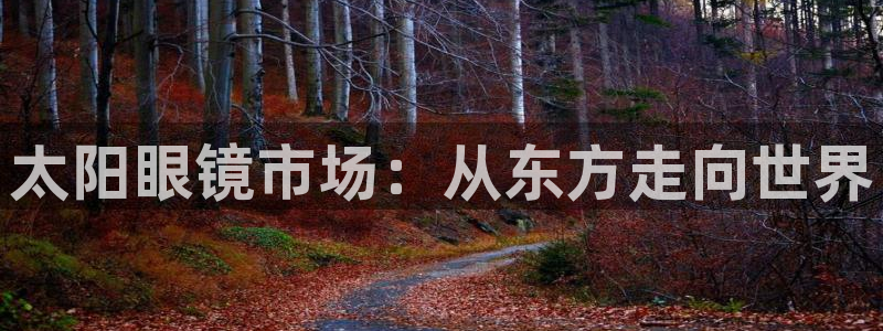 辉达娱乐加q75775