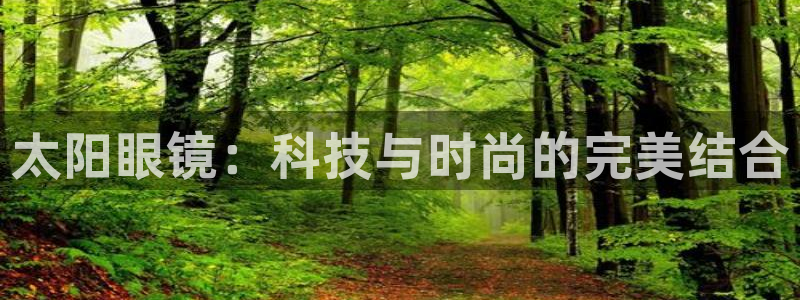 辉达娱乐加q75775