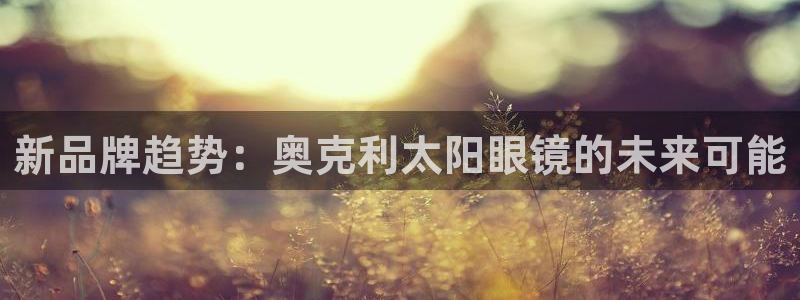 辉达娱乐福彩