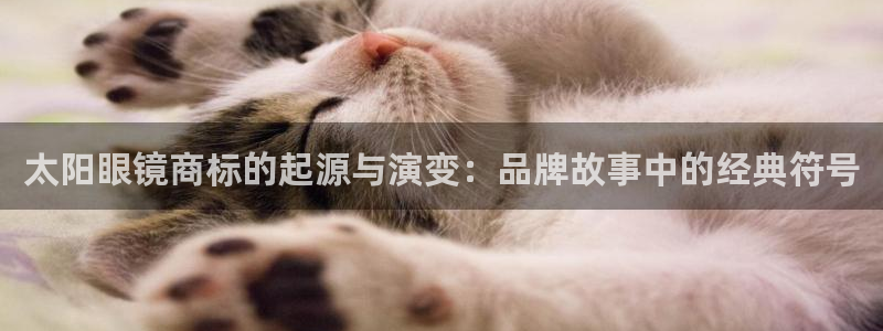 达利娱乐王辉