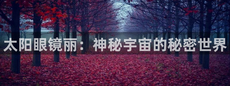 辉达娱乐多少年