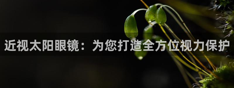 龙腾辉达电子娱乐