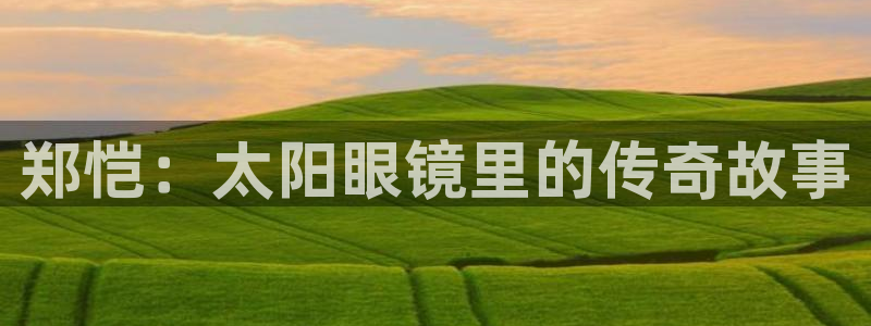 专业辉达娱乐官方网址