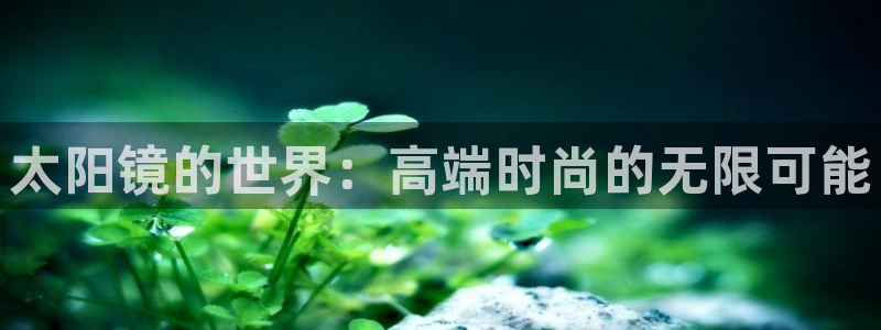 辉达娱乐己75505