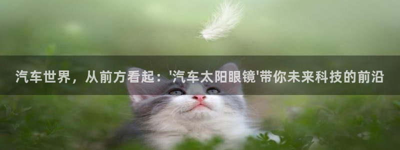 信誉辉达娱乐