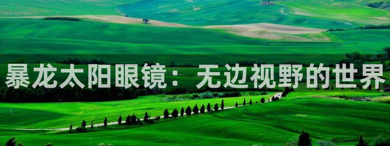 辉达娱乐招商