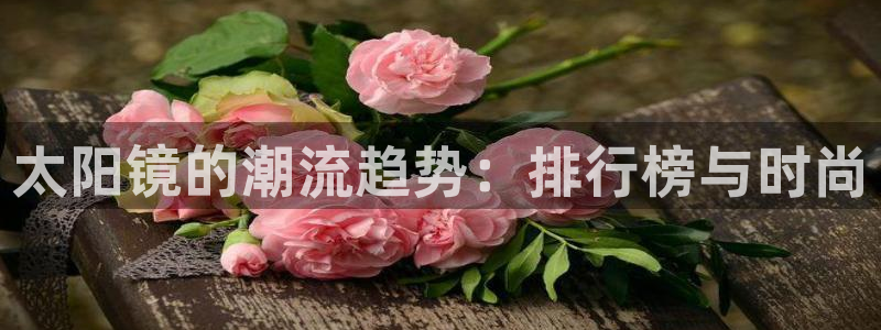 龙腾辉达电子娱乐