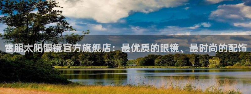 辉达娱乐公司