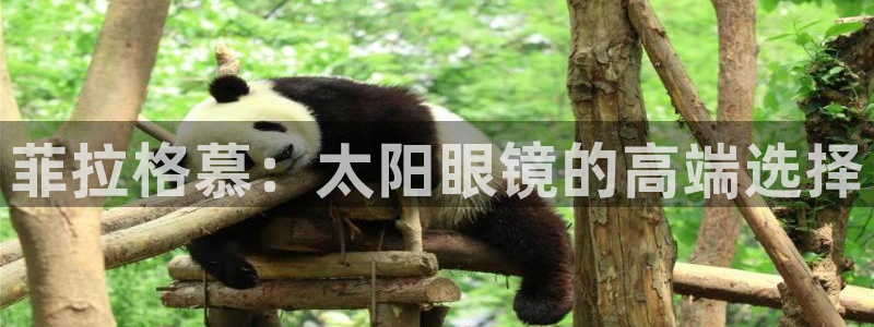 辉达平台官网下载
