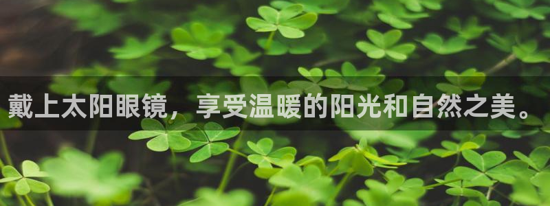 辉达娱乐丶39444