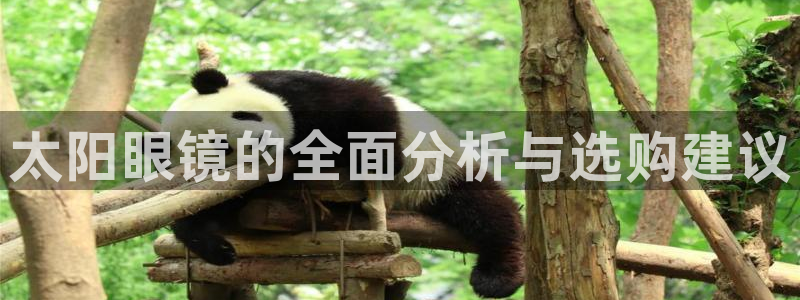 正规辉达娱乐在线游戏