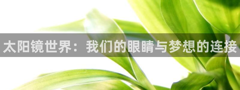 辉达娱乐己75505