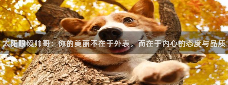 辉达娱乐重庆时时彩