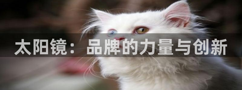 信誉辉达娱乐官方网址