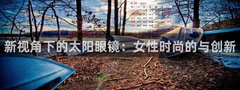 辉达娱乐多少年