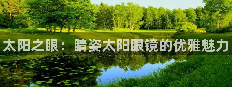 辉达娱乐检测