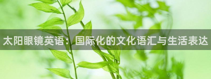 辉达娱乐
