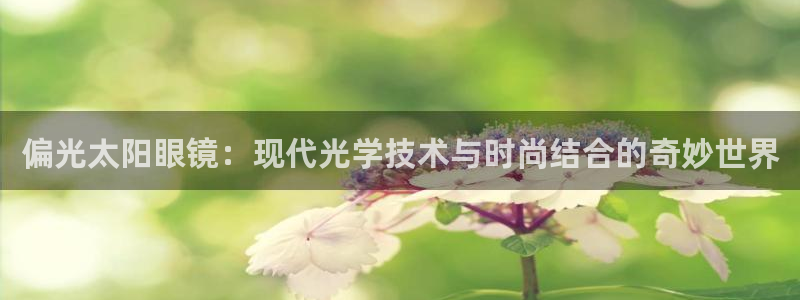 辉达娱乐最新消息新闻