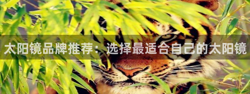 辉达娱乐可靠