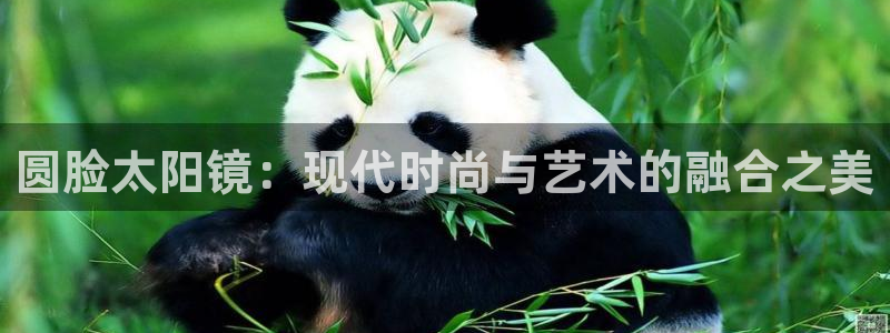 辉达娱乐招商