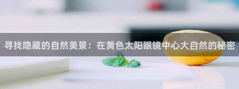 专业辉达娱乐官方网址