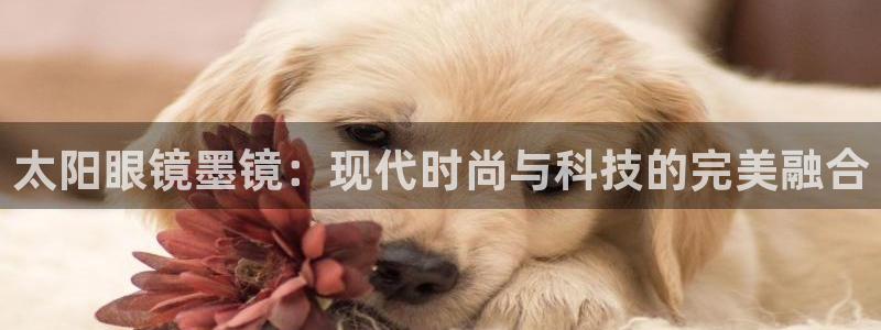 辉达娱乐最新消息新闻