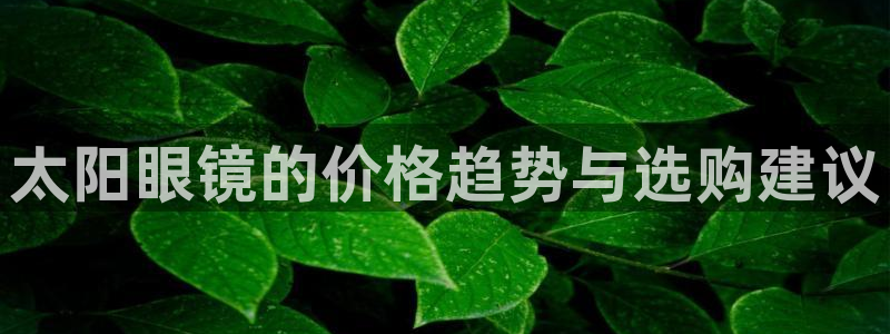 辉达娱乐五75505