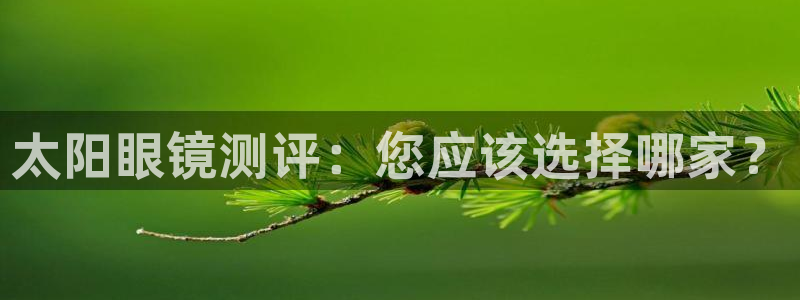 辉达娱乐待遇