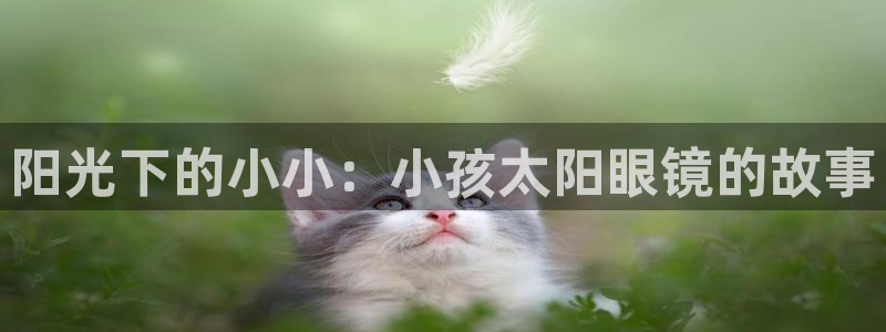 恒达娱乐辉70667