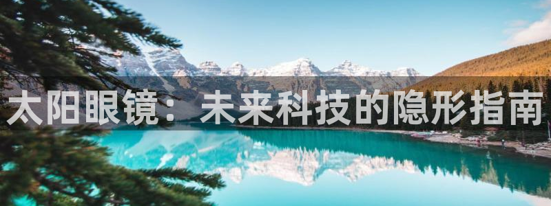 辉达娱乐公司