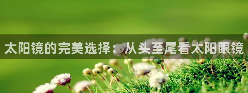 辉达娱乐线路检测
