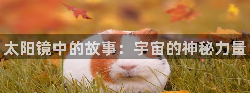 代理辉达娱乐官方网址