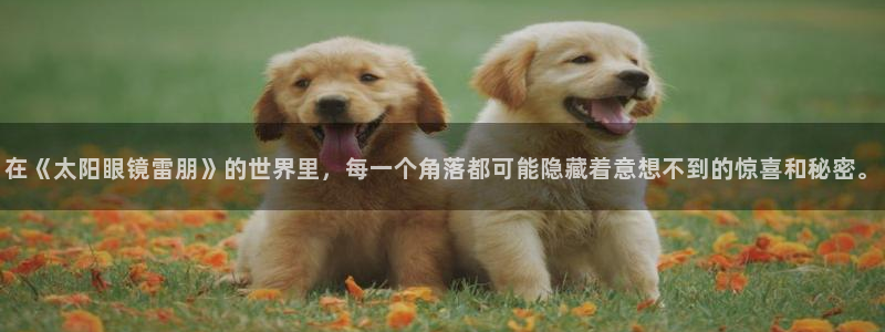 专业辉达娱乐平台