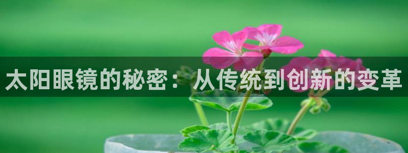 辉达娱乐下载