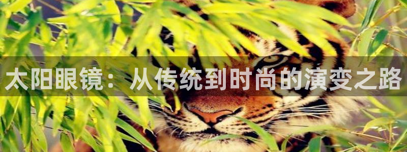辉达平台官网网站