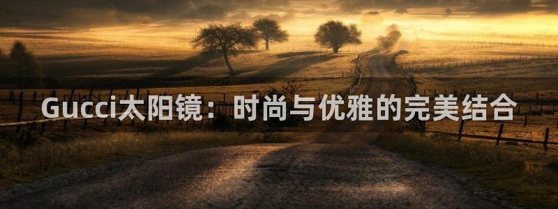 辉达娱乐网址