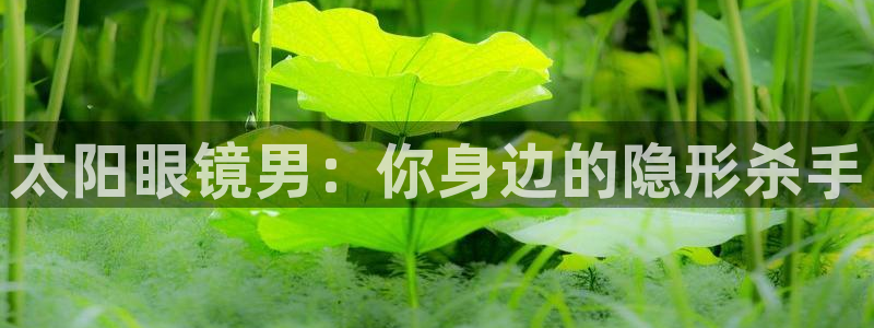 辉达娱乐最新消息新闻