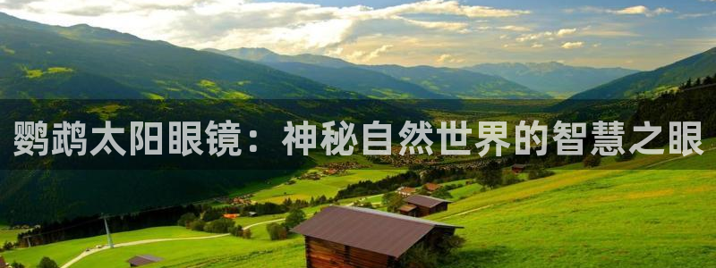 正规辉达娱乐