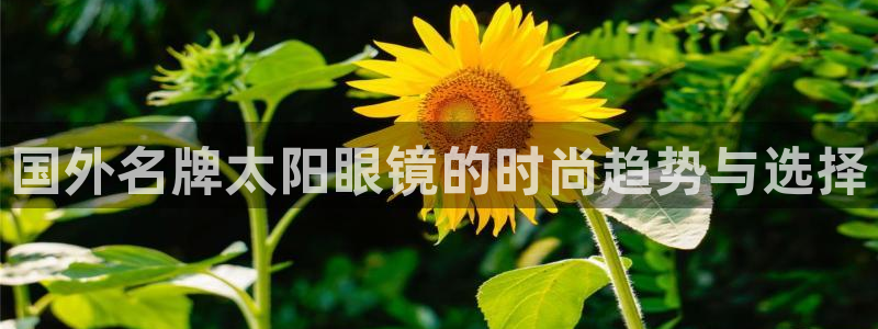 辉达集团官方网站