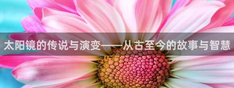 辉达娱乐下载