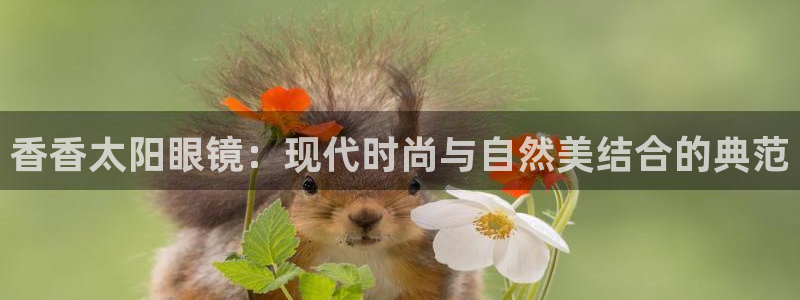 辉达娱乐兼职