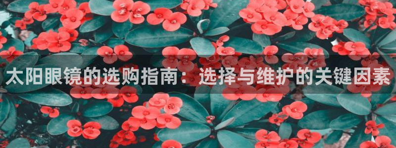 辉达娱乐123123