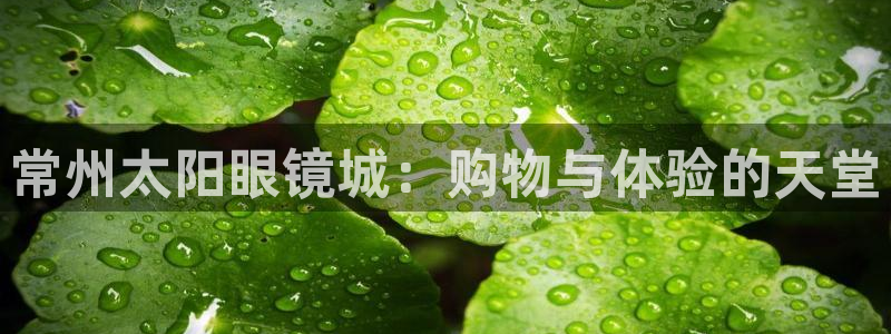 辉达娱乐app